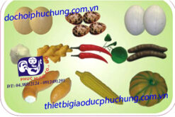 BỘ DINH DƯỠNG 3-PHD03