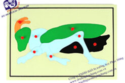 Ghép hình động vật cào cào  MS161-170
