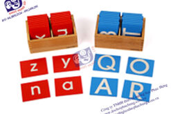 Hộp chữ cái in hoa và in thường MS145