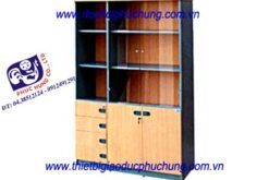 TỦ VĂN PHÒNG-TVP308