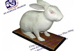 MÔ HÌNH CON THỎ-NDS006
