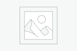 Nơi nhập dữ liệu